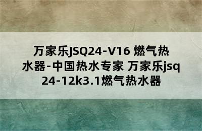 万家乐JSQ24-V16 燃气热水器-中国热水专家 万家乐jsq24-12k3.1燃气热水器